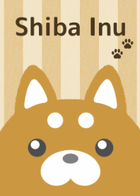 Shiba Inu[Stripe]