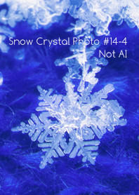 Snow Crystal Photo #14-4 Not AI