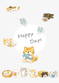 Happy Days with Gentle Kittens