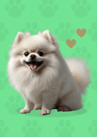Cute Pomeranian Theme Green 02