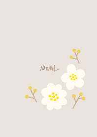 2 flowers adult25 from Japan