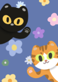 Fluffy Kitten Crew