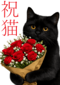 Celebrating the black cat