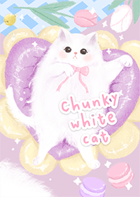 Chunky White Cat