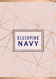 Blush Pink and NAVY