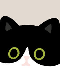 はちわれ猫と黒猫..5