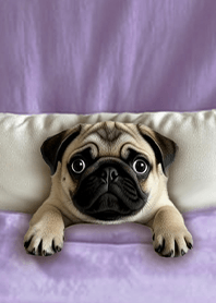 療癒趣味蓋棉被狗勾-巴哥犬1D 深紫色