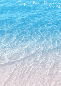 Tropical Beach Photo 235 Not AI