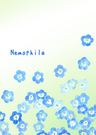 Nemophila Spring