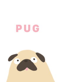 Cute Pug Dogs