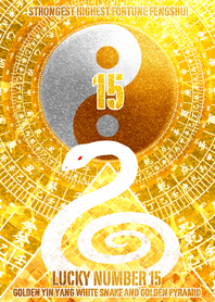 最強最高金運風水 黄金の太極図と白蛇15