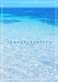 TRANSPARENT SEA-LOVE HAWAII 8
