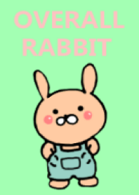 overall rabbit