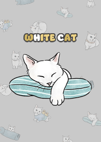 whitecat1 / grey