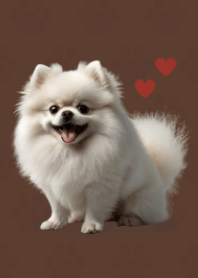 Cute Pomeranian Theme Brown 01