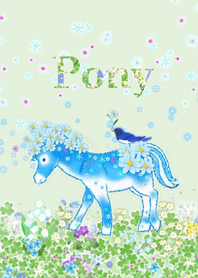 Pony2