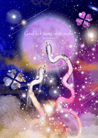 運気上昇 昇白蛇〜風水〜2