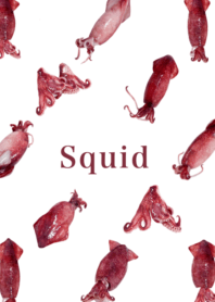 Flesh Baby squid 14