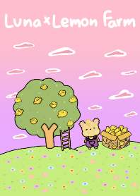 Luna x lemon tree