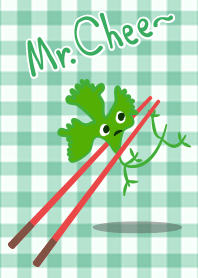 Mr.Chee
