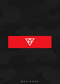 Box logo Dark Grey Camo