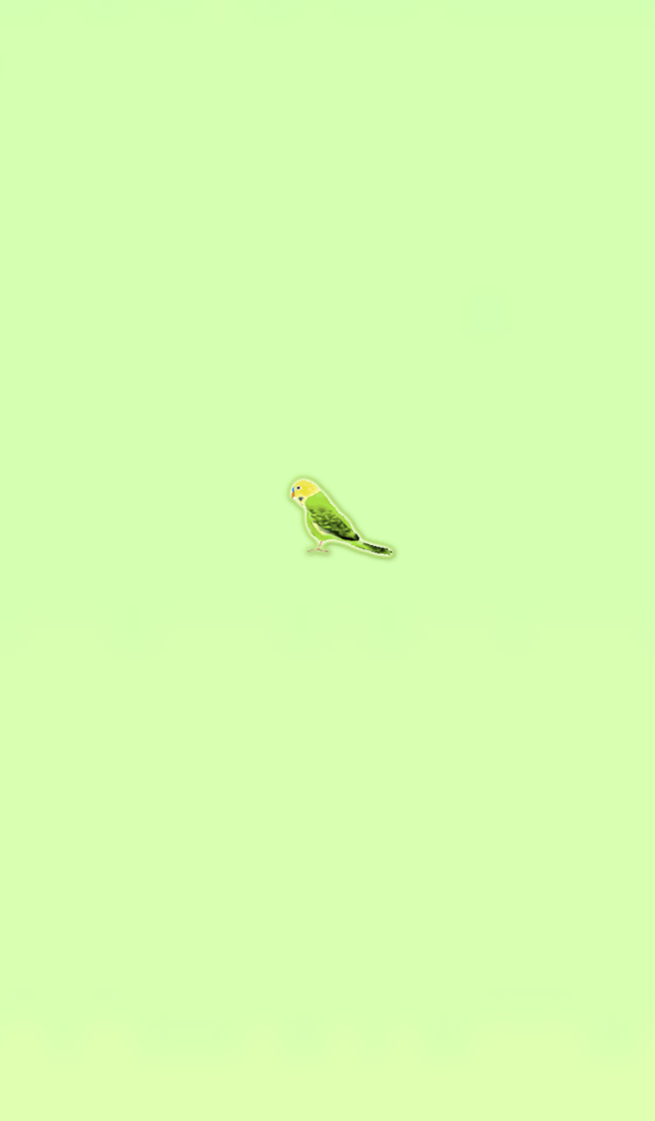 Simple lucky parakeet