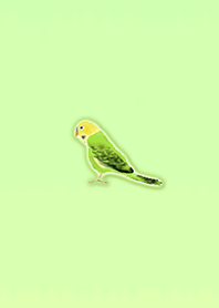 Simple lucky parakeet