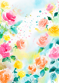 Beautiful rose flower(R4653)