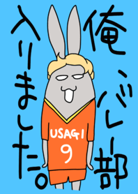 It is a member of the volleyball team