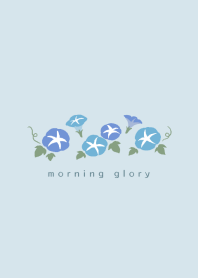 Simple flower/morning glory(blue)