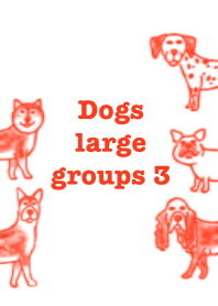 Dogs, large groups 3.