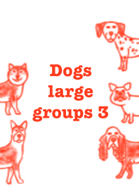 犬たち　大集合3