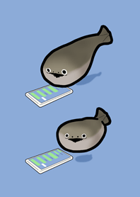 awaiting reply Sakaban snapper(basic)