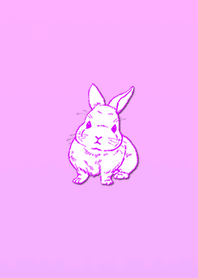 Simple and realistic rabbit 8