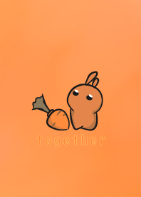 不停凝視的兔 - 橘