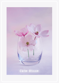 violet Gentle Glass Flowers03_1