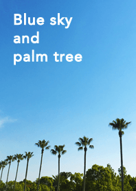 Blue sky and palm tree