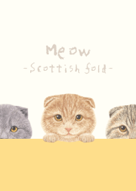 猫 - スコティッシュ - ベージュ×黄色
