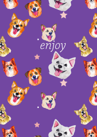dogs on purple