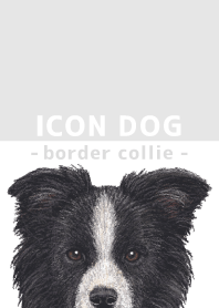 ICON DOG - Border Collie  - GRAY/01