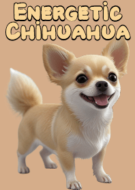 Energetic Chihuahua VOL.9