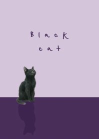 Black cat - purple theme