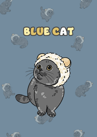 bluecat2 - denim .jp