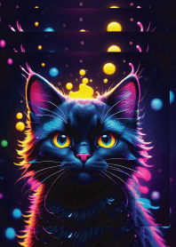 Black cat  Black cat
