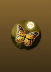 Butterfly dancing in the evening