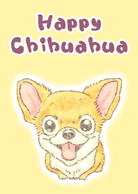 Happy Chihuahua