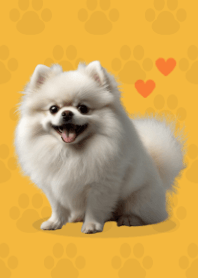 귀여운 포메라니안 테마 Yellow 03