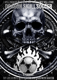 ドラゴンスカルサッカー 2