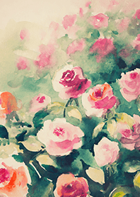 Beautiful rose flower(R4654)