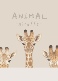 ANIMAL - Giraffe - PASTEL BROWN
